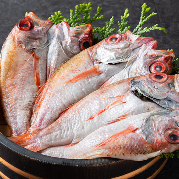 のどぐろ一夜干し｜特大250ｇ