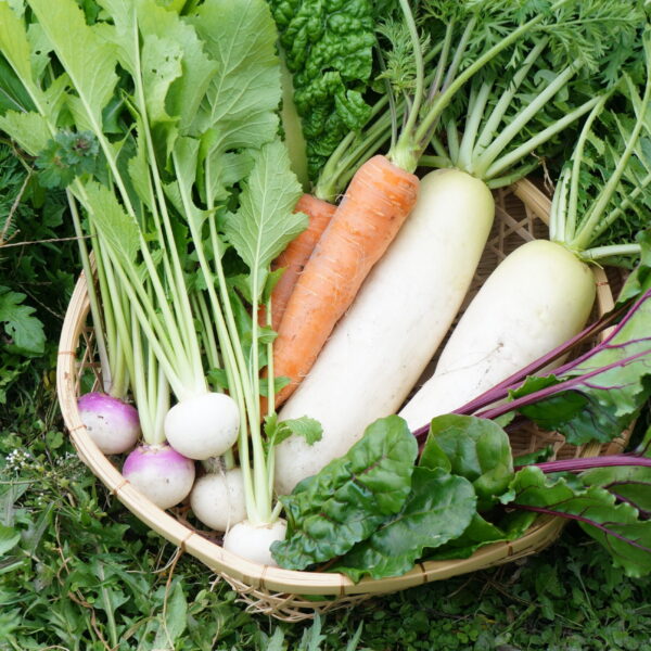 やまもと有機菜園の野菜